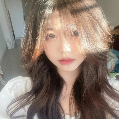 橱窗里的兔子先生