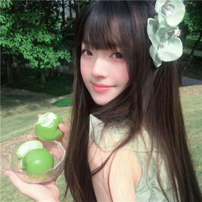 阿妮塔与加里波第