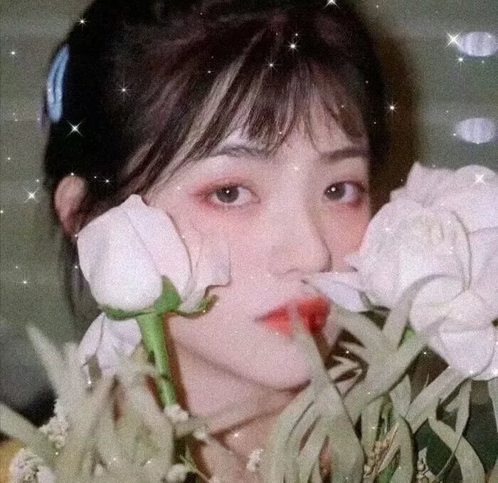 拥抱太阳的月亮
